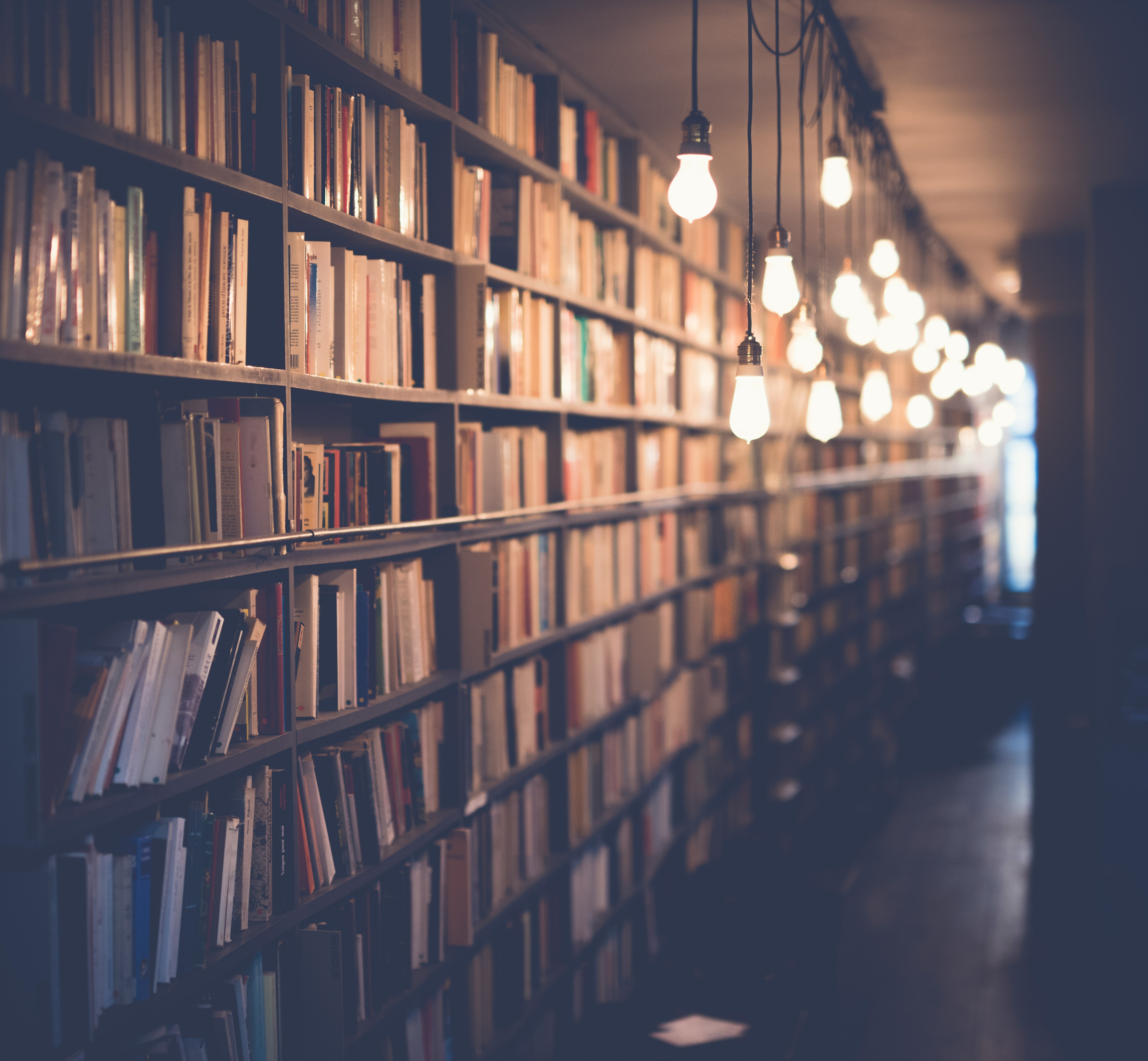 A warm library aisle lined with books and glowing Edison bulbs